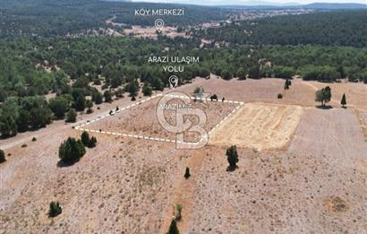 KÜTAHYA MERKEZ SAĞIRLAR SATILIK 3 DÖNÜM TARLA