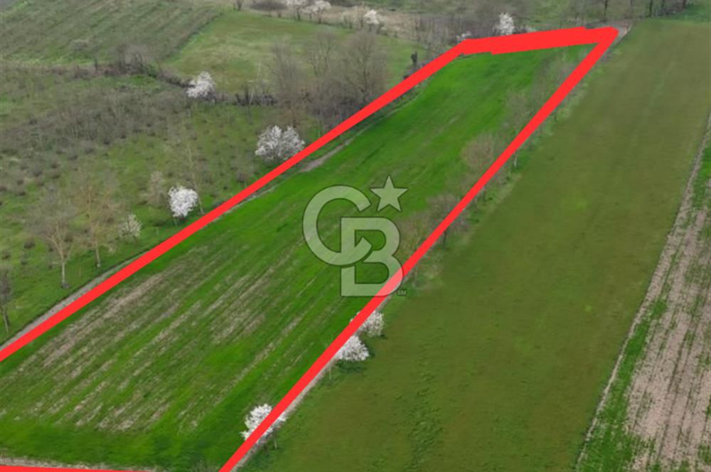 DÜZCE GÜMÜŞOVA SANAYİ İMARINA BİTİŞİK 6900 M2 TARLA