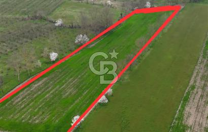 DÜZCE GÜMÜŞOVA SANAYİ İMARINA BİTİŞİK 6900 M2 TARLA