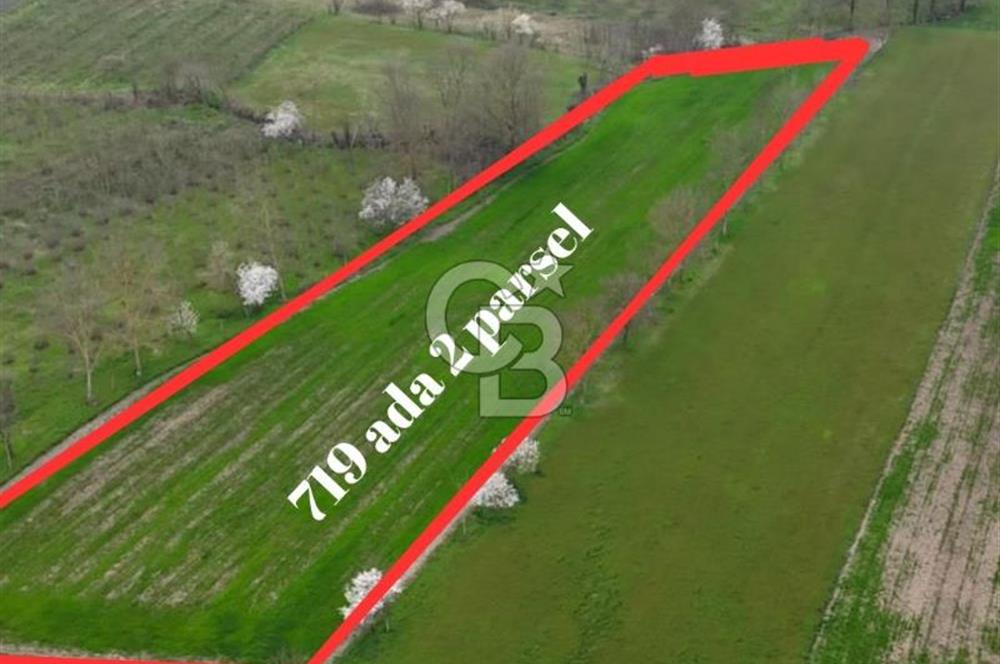 DÜZCE GÜMÜŞOVA SANAYİ İMARINA BİTİŞİK 6900 M2 TARLA