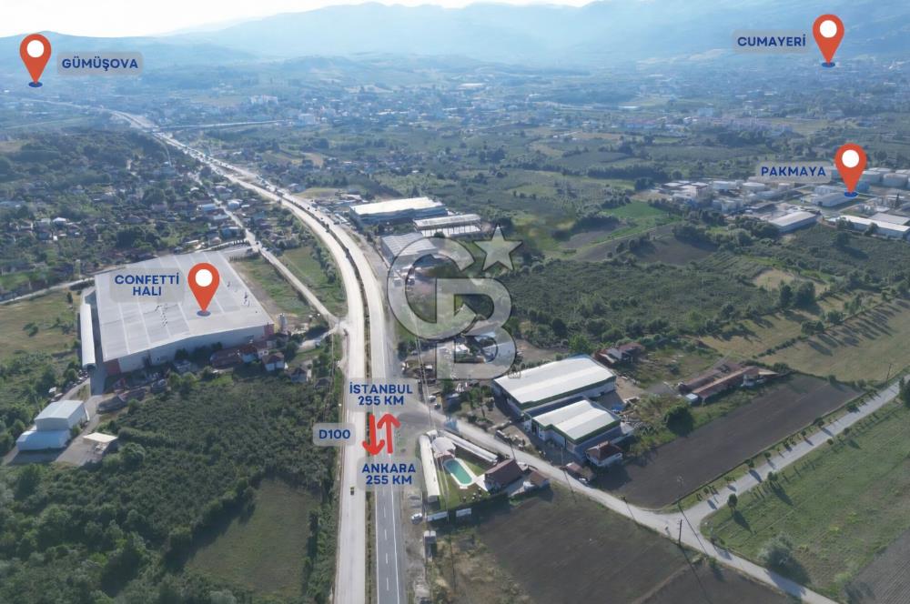 DÜZCE GÜMÜŞOVA SANAYİ İMARINA BİTİŞİK 6900 M2 TARLA