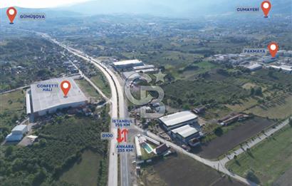 DÜZCE GÜMÜŞOVA SANAYİ İMARINA BİTİŞİK 6900 M2 TARLA