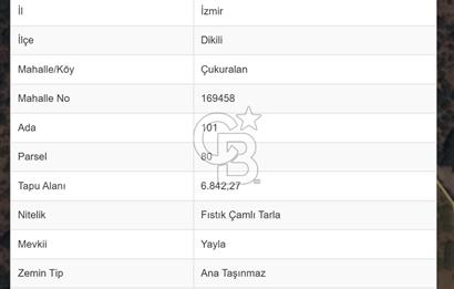 C.B. ROUTE | Dikili Çukuralan'da Doğa ile iç içe Yatırım Fırsatı