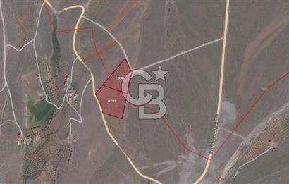 COLDWELL BANKER SAFİR'den FIRINCI KÖYÜ'nde SATILIK TARLA