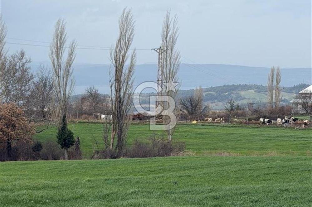 ÇANAKKALE MERKEZ KIZILKEÇİLİ DE İMARLI KOOPERATİF HİSSELERİ