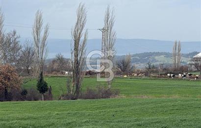 ÇANAKKALE MERKEZ KIZILKEÇİLİ DE İMARLI KOOPERATİF HİSSELERİ