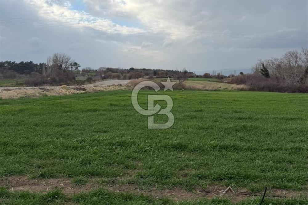 ÇANAKKALE MERKEZ KIZILKEÇİLİ DE İMARLI KOOPERATİF HİSSELERİ