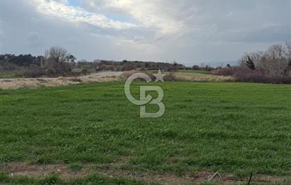 ÇANAKKALE MERKEZ KIZILKEÇİLİ DE İMARLI KOOPERATİF HİSSELERİ