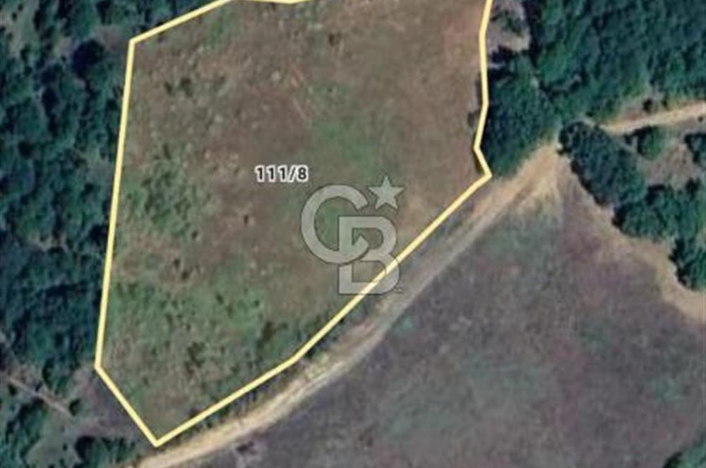CB CLASS ACİL SATILIK! İNEGÖL GÜZELYURT'TA 7600 M2 FIRSAT ARAZİ