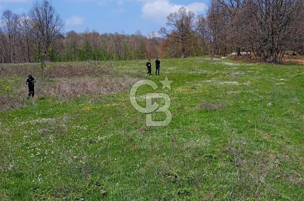 CB CLASS ACİL SATILIK! İNEGÖL GÜZELYURT'TA 7600 M2 FIRSAT ARAZİ
