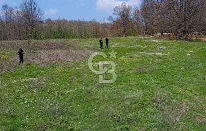 CB CLASS ACİL SATILIK! İNEGÖL GÜZELYURT'TA 7600 M2 FIRSAT ARAZİ