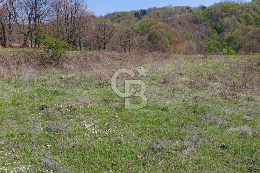 CB CLASS ACİL SATILIK! İNEGÖL GÜZELYURT'TA 7600 M2 FIRSAT ARAZİ