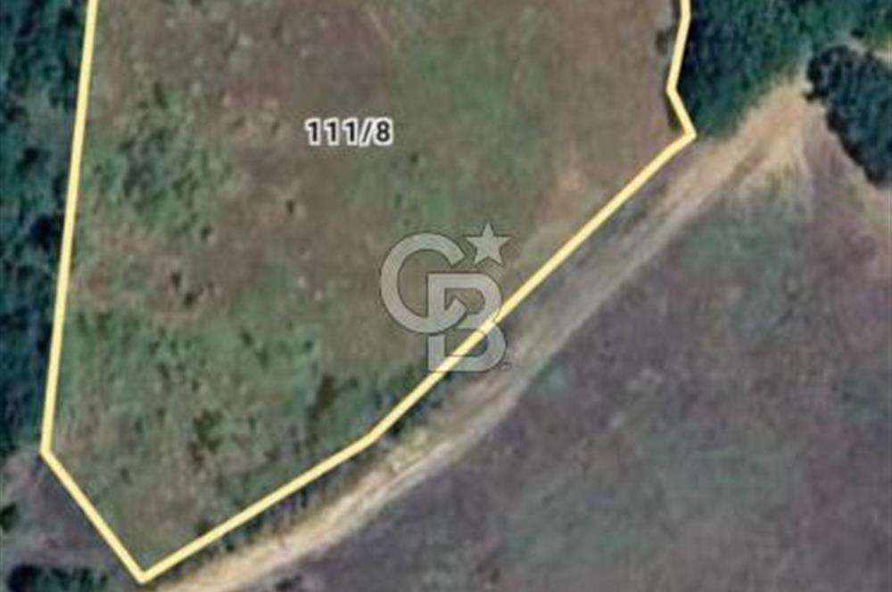CB CLASS ACİL SATILIK! İNEGÖL GÜZELYURT'TA 7600 M2 FIRSAT ARAZİ
