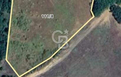 CB CLASS ACİL SATILIK! İNEGÖL GÜZELYURT'TA 7600 M2 FIRSAT ARAZİ