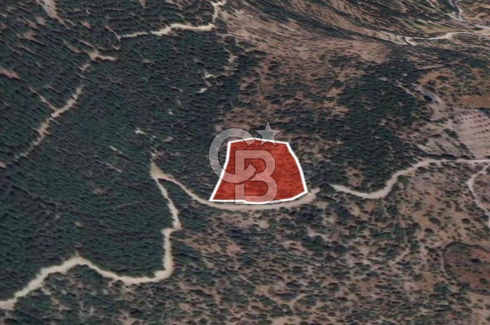 C.B. ROUTE | Dikili Çukuralan'da Doğa ile iç içe Yatırım Fırsatı