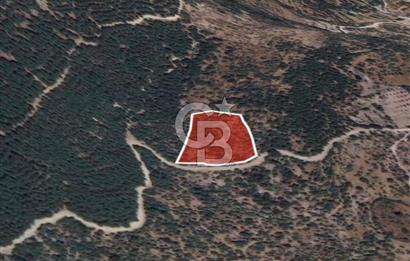 C.B. ROUTE | Dikili Çukuralan'da Doğa ile iç içe Yatırım Fırsatı