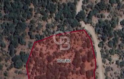 C.B. ROUTE | Dikili Çukuralan'da Doğa ile iç içe Yatırım Fırsatı