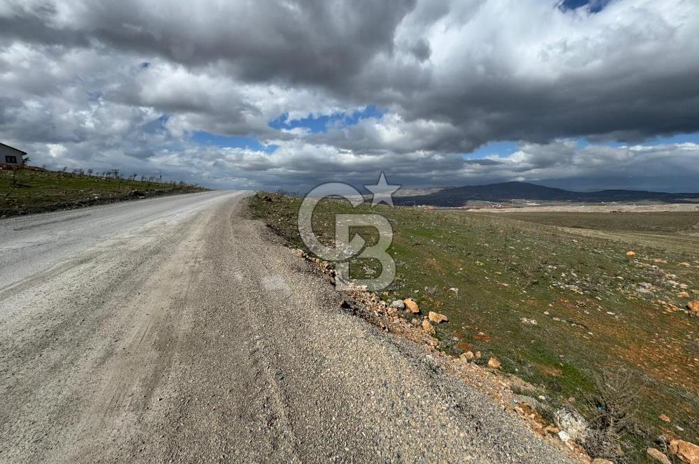 COLDWELL BANKER SAFİR'den FIRINCI KÖYÜ'nde SATILIK TARLA