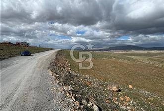 COLDWELL BANKER SAFİR'den FIRINCI KÖYÜ'nde SATILIK TARLA - 1 - 342599