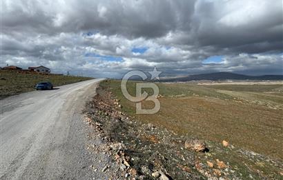 COLDWELL BANKER SAFİR'den FIRINCI KÖYÜ'nde SATILIK TARLA