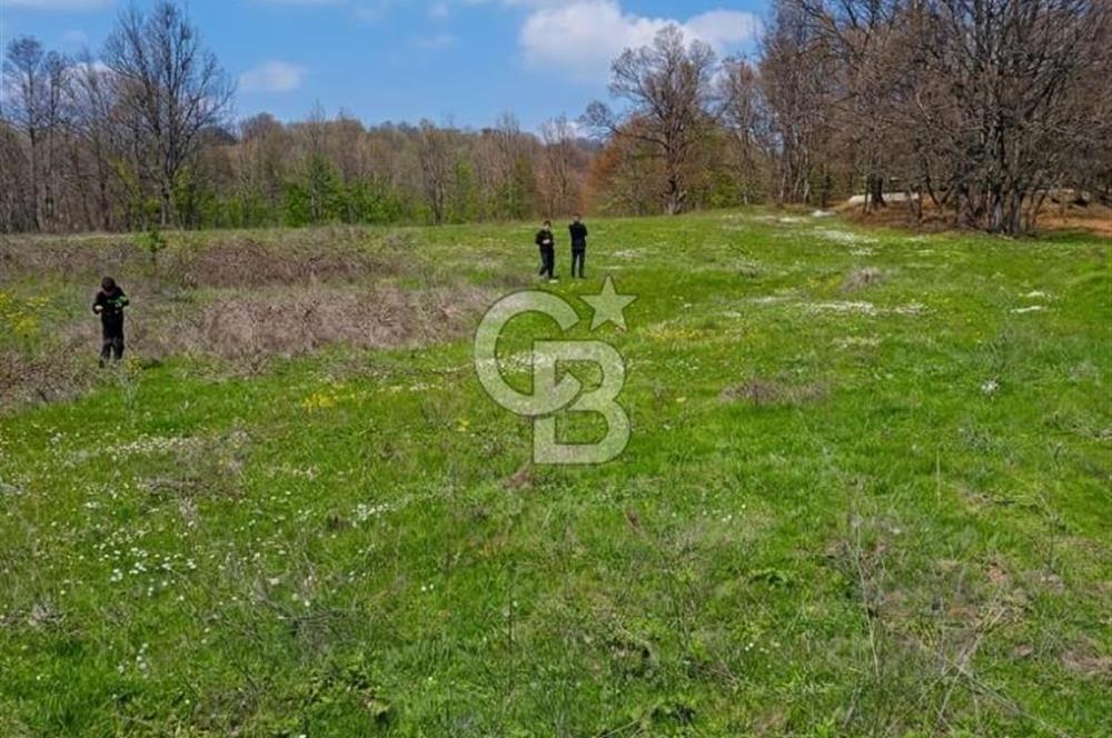 CB CLASS ACİL SATILIK! İNEGÖL GÜZELYURT'TA 7600 M2 FIRSAT ARAZİ