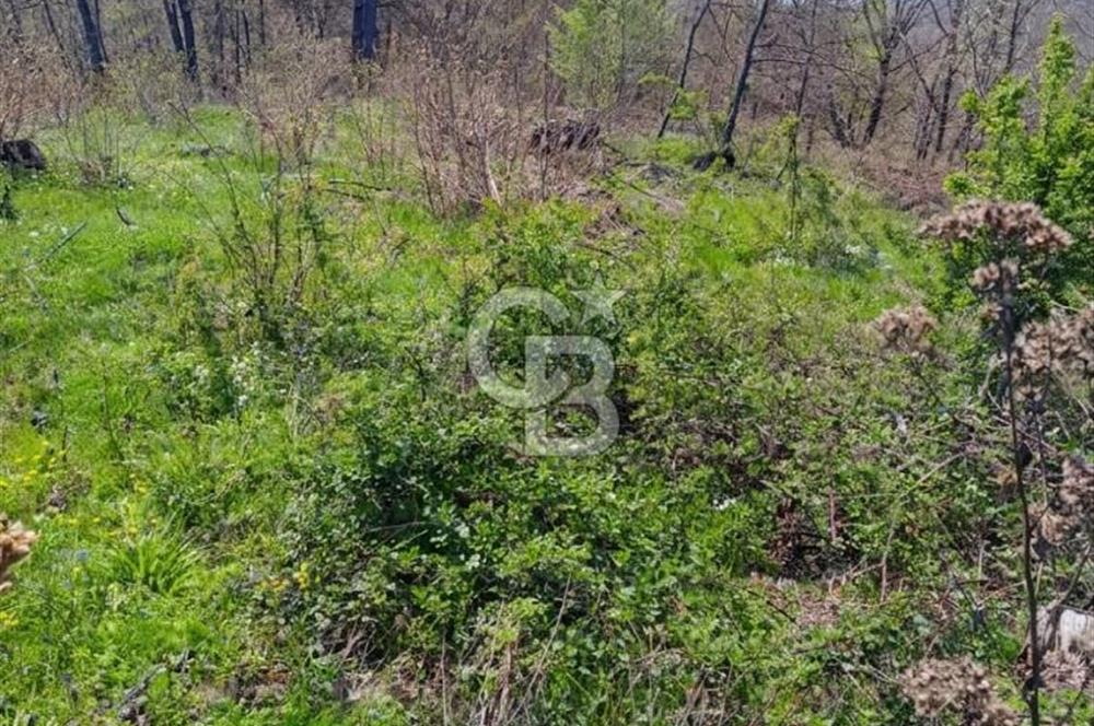 CB CLASS ACİL SATILIK! İNEGÖL GÜZELYURT'TA 7600 M2 FIRSAT ARAZİ