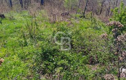 CB CLASS ACİL SATILIK! İNEGÖL GÜZELYURT'TA 7600 M2 FIRSAT ARAZİ