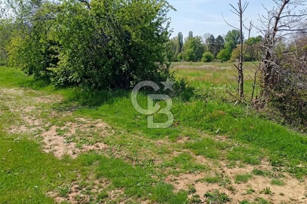 CB CLASS ACİL SATILIK! İNEGÖL GÜZELYURT'TA 7600 M2 FIRSAT ARAZİ