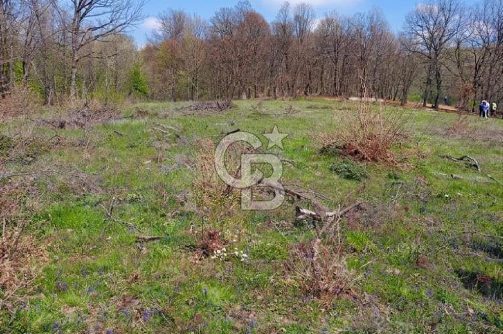 CB CLASS ACİL SATILIK! İNEGÖL GÜZELYURT'TA 7600 M2 FIRSAT ARAZİ