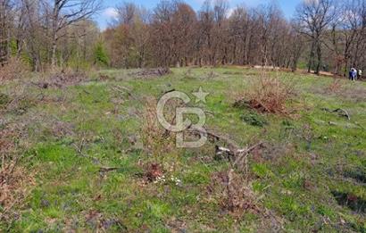 CB CLASS ACİL SATILIK! İNEGÖL GÜZELYURT'TA 7600 M2 FIRSAT ARAZİ