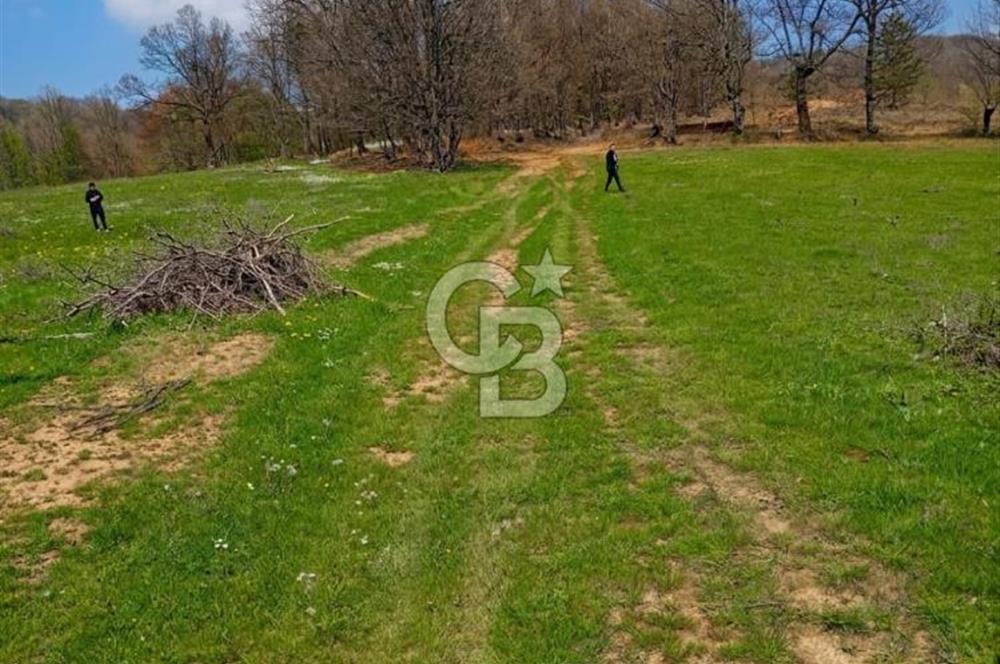 CB CLASS ACİL SATILIK! İNEGÖL GÜZELYURT'TA 7600 M2 FIRSAT ARAZİ
