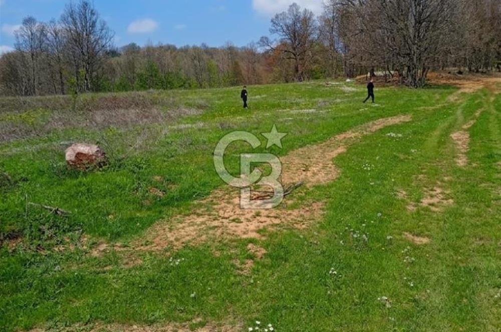 CB CLASS ACİL SATILIK! İNEGÖL GÜZELYURT'TA 7600 M2 FIRSAT ARAZİ