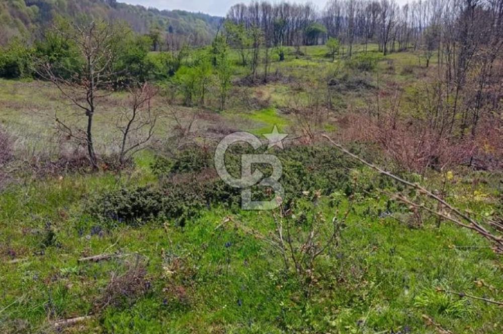CB CLASS ACİL SATILIK! İNEGÖL GÜZELYURT'TA 7600 M2 FIRSAT ARAZİ