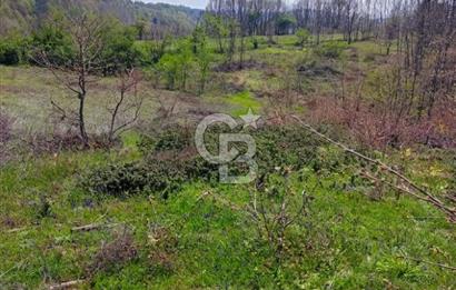 CB CLASS ACİL SATILIK! İNEGÖL GÜZELYURT'TA 7600 M2 FIRSAT ARAZİ