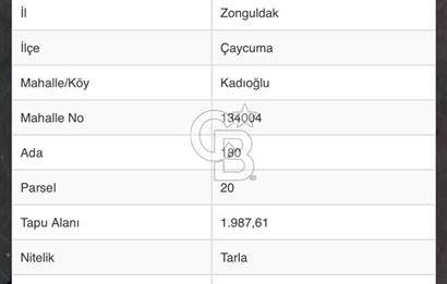 ZONGULDAK ÇAYCUMA YEŞİLTEPE MAHALLESİNDE SATILIK TARLA