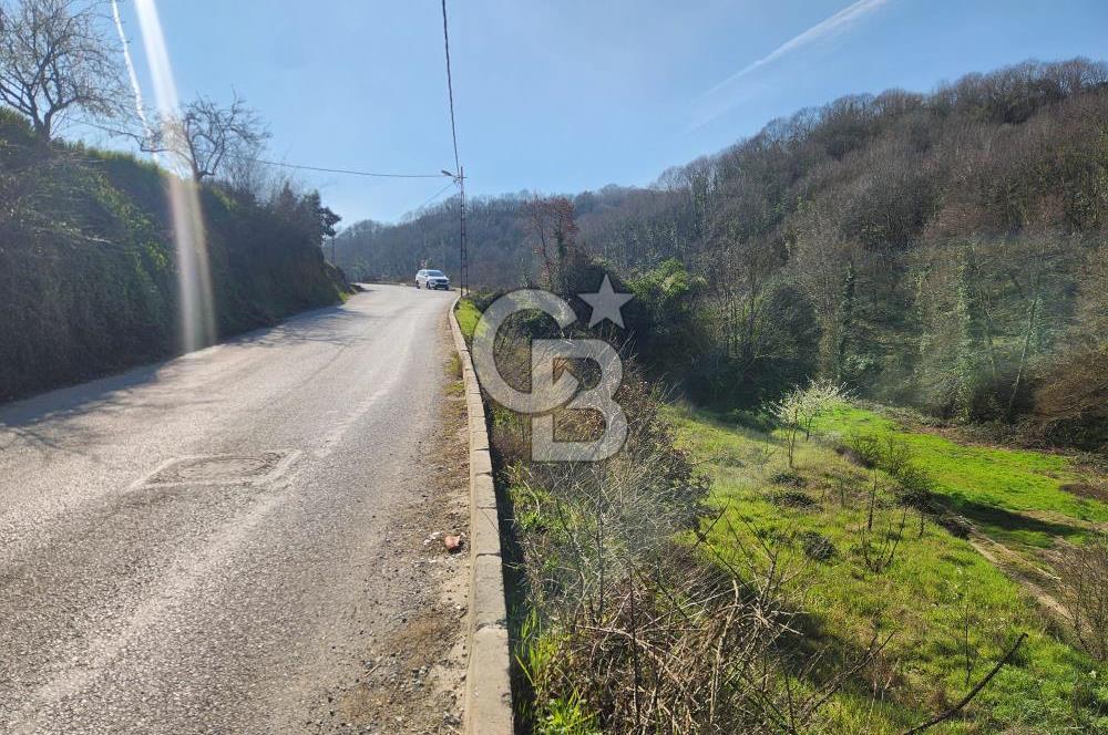 BEYKOZ ÇENGELDERE SATILIK 646 M2 İMARLI ARSA
