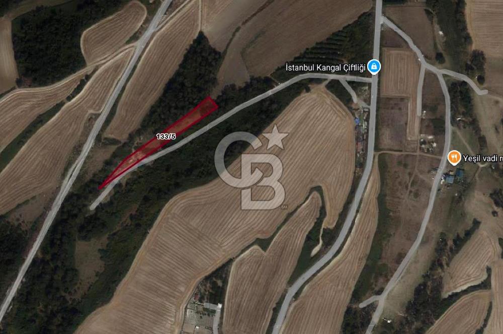 ARNAVUTKÖY BAKLALI MH. GERME ALTINDA (TEK TAPU) SATILIK TARLA