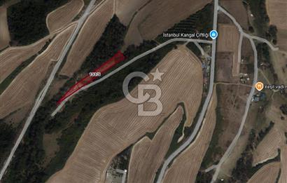 ARNAVUTKÖY BAKLALI MH. GERME ALTINDA (TEK TAPU) SATILIK TARLA