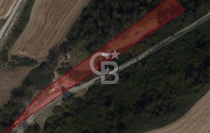 ARNAVUTKÖY BAKLALI MH. GERME ALTINDA (TEK TAPU) SATILIK TARLA