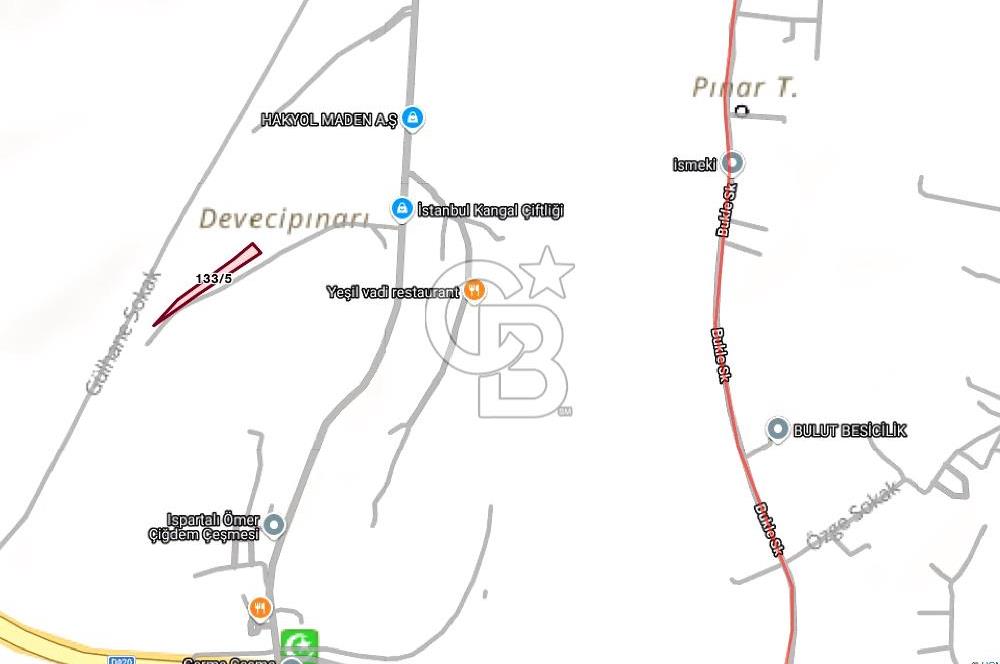 ARNAVUTKÖY BAKLALI MH. GERME ALTINDA (TEK TAPU) SATILIK TARLA