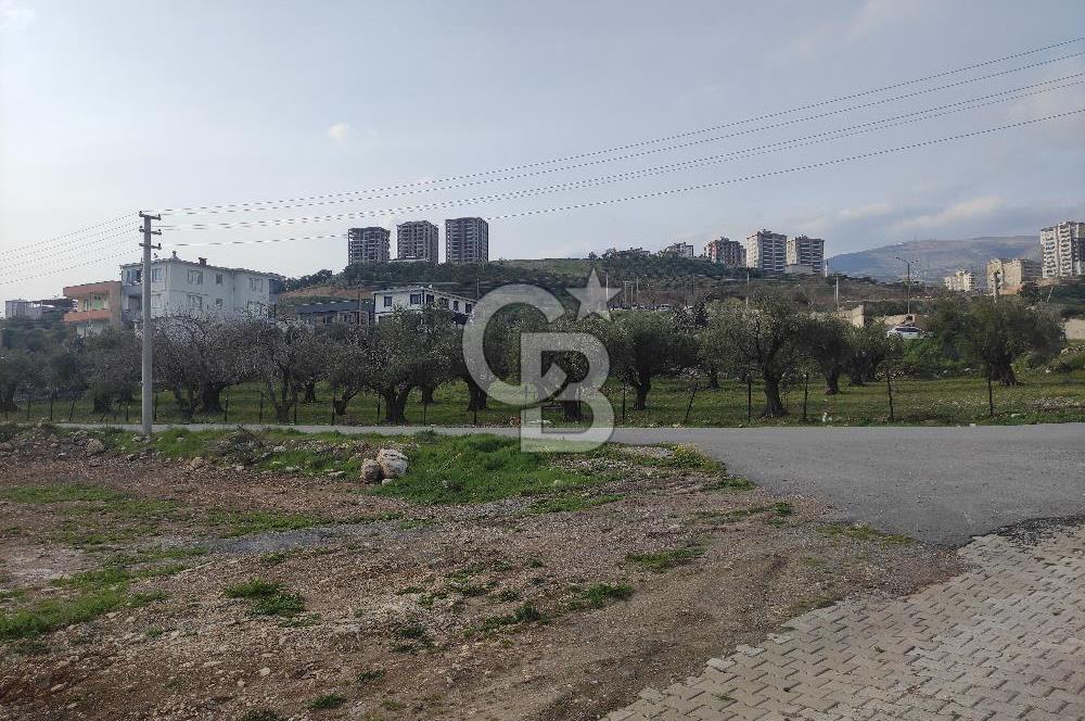 COLDWELL BANKER'DEN AĞCALIDA VİLLA BÖLGESİNDE SATILIK ARSA