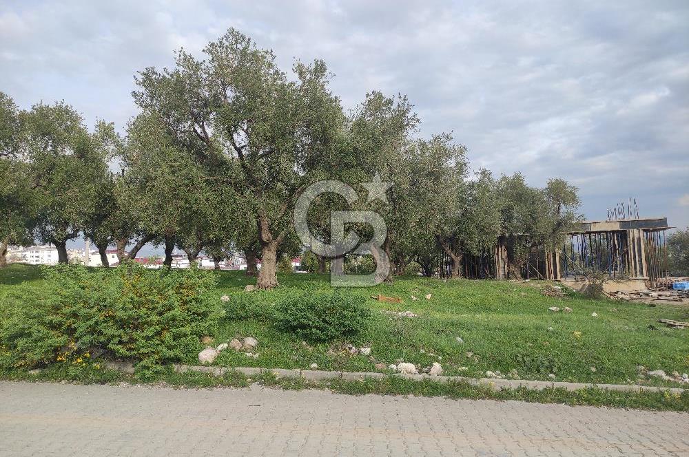 COLDWELL BANKER'DEN AĞCALIDA VİLLA BÖLGESİNDE SATILIK ARSA