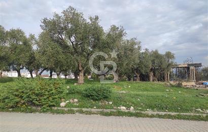 COLDWELL BANKER'DEN AĞCALIDA VİLLA BÖLGESİNDE SATILIK ARSA