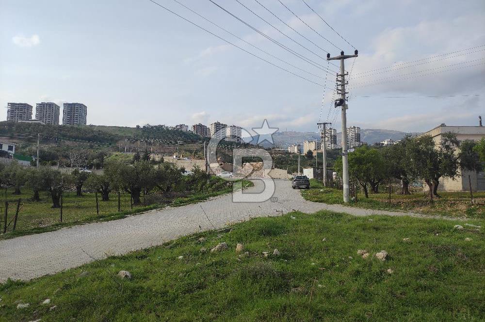 COLDWELL BANKER'DEN AĞCALIDA VİLLA BÖLGESİNDE SATILIK ARSA