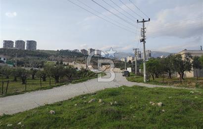 COLDWELL BANKER'DEN AĞCALIDA VİLLA BÖLGESİNDE SATILIK ARSA