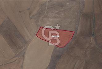 CB CITY'DEN ULUDERE MAHALLESİNDE KADASTIRAL YOLA CEPHELİ TARLA - 2 - 342679