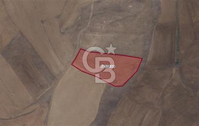CB CITY'DEN ULUDERE MAHALLESİNDE KADASTIRAL YOLA CEPHELİ TARLA