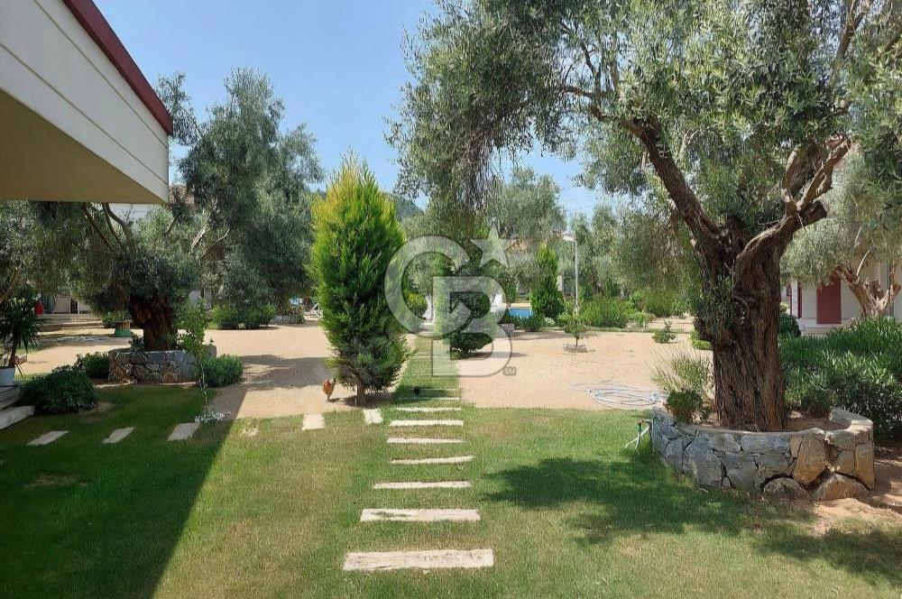 Milas'ın Merkezinde Hem Kışlığınızda Hem De Yazlığınızdasınız...