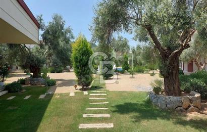 Milas'ın Merkezinde Hem Kışlığınızda Hem De Yazlığınızdasınız...