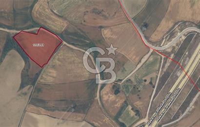 Gelibolu Kavaklıtepede FIRSAT YATIRIMLIK TARLA